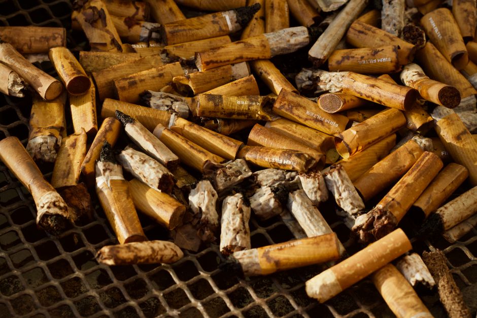 A close-up image of a large collection of used cigarette butts scattered on a black metal mesh surface. The cigarette filters are predominantly light brown with some showing signs of charring, ash, and burnt residue at the tips where they have been smoked. The filters vary in length and condition, with some appearing crushed or broken, revealing white or gray ash and burnt tobacco remnants. The filters have printed text in white and faded colors, and the surface texture of the filters is smooth but heavily soiled from use. The background consists of the dark, grid-like pattern of the metal mesh, which contrasts with the lighter tones of the cigarette butts. The environment suggests an outdoor or industrial setting, and the scene visually supports themes of waste accumulation and cigarette litter, relevant to waste and rubbish clearance services provided by Rubbish Clearance Surrey.